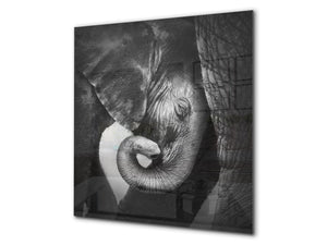 Art glass design printed glass splashback BS21A  Animals A Series: Black And White Elephant 1