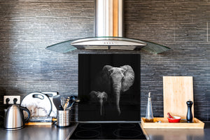 Art glass design printed glass splashback BS21A  Animals A Series: Black And White Elephant 3