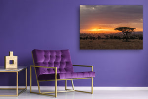 Glass Printed Picture - Wall Picture behind Tempered Glass SART01D Nature Series: The Serengeti