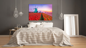 Graphic Art Print on Glass - Beautiful Quality Glass Print Picture SART01C Nature Series: Colourful tulips in a Dutch countryside