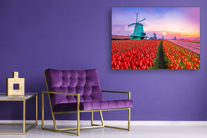 Graphic Art Print on Glass - Beautiful Quality Glass Print Picture SART01C Nature Series: Colourful tulips in a Dutch countryside