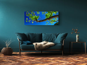 Glass Print Wall Art – Image on Glass 125 x 50 cm (≈ 50” x 20”) ; Tree 4