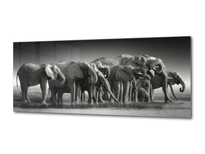 Wall Art Glass Print Picture – Available in 5 different sizes – Animals Series 02: Botswana safari