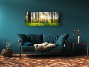 Glass Print Wall Art – Image on Glass 125 x 50 cm (≈ 50” x 20”) ; Forest 6