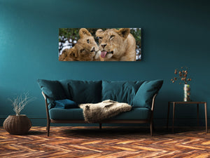 Glass Print Wall Art – Image on Glass 125 x 50 cm (≈ 50” x 20”) ; Lions