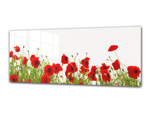 Glass Print Wall Art – Image on Glass 125 x 50 cm (≈ 50” x 20”) ; Poppies 7