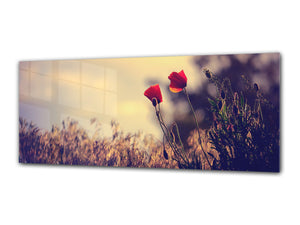 Glass Print Wall Art – Image on Glass 125 x 50 cm (≈ 50” x 20”) ; Poppies 6